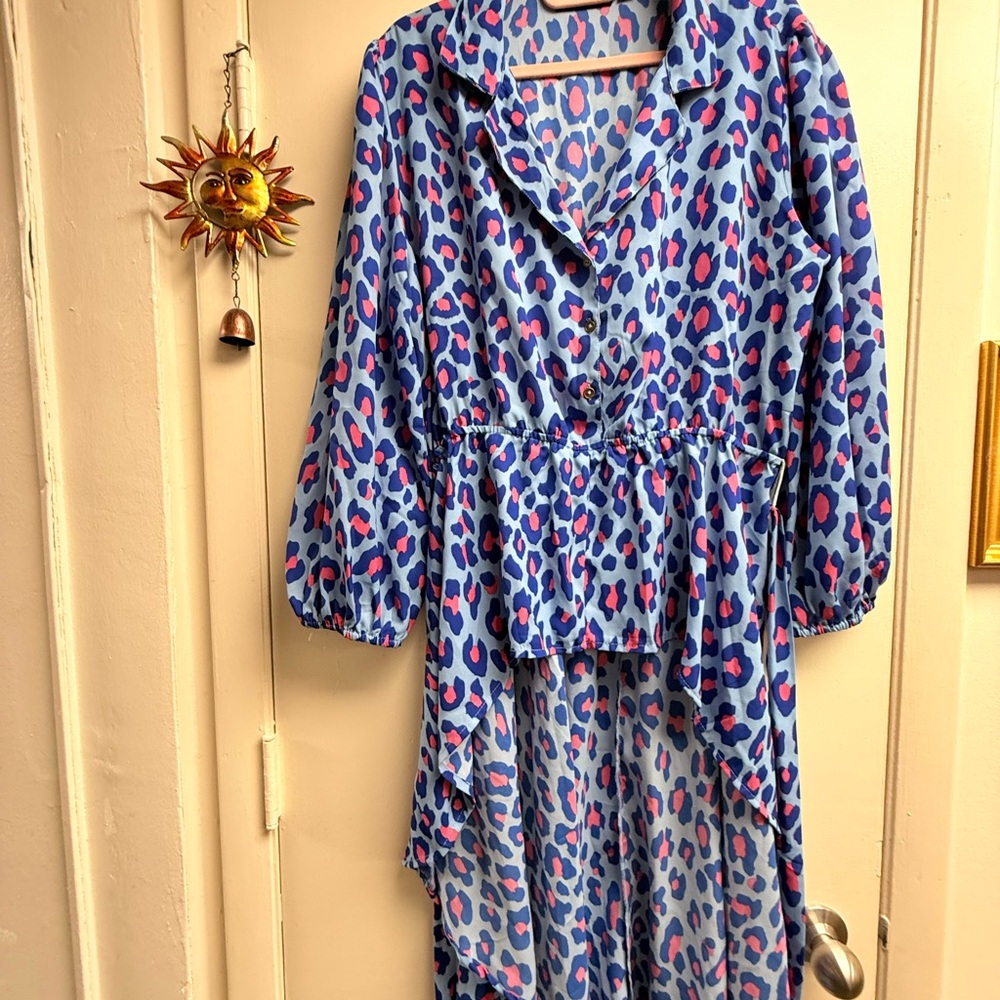 Blue and Pink Leopard Print Pant Suit